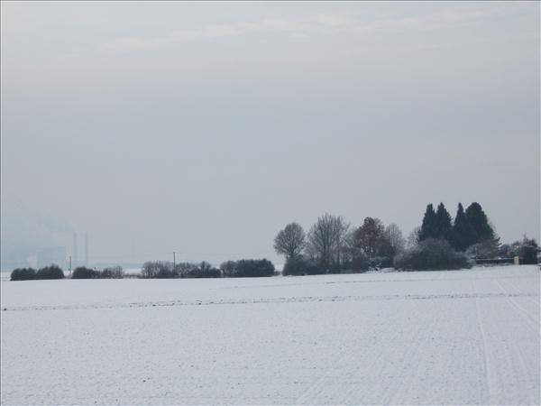 EchtzerWinter2010Januar 001