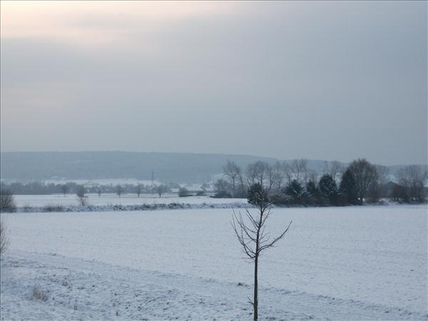 EchtzerWinter2010Januar 002
