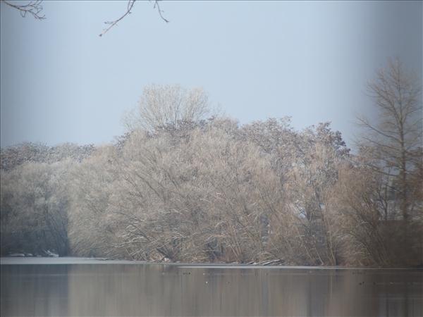 EchtzerWinter2010Januar 010
