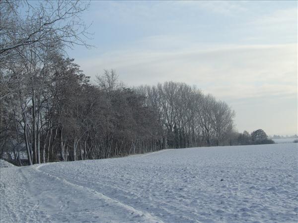 EchtzerWinter2010Januar 013