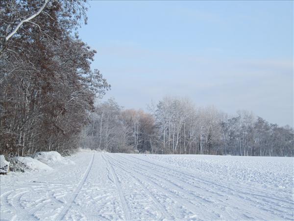 EchtzerWinter2010Januar 014