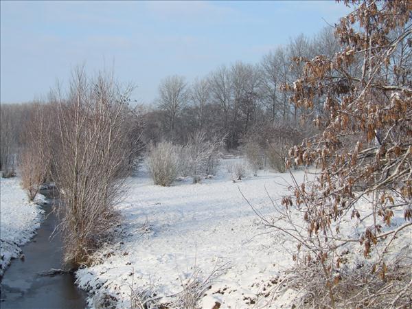 EchtzerWinter2010Januar 015