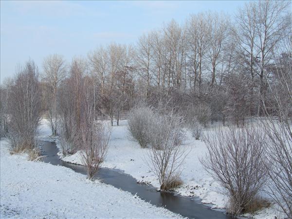 EchtzerWinter2010Januar 016