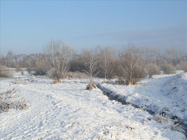 EchtzerWinter2010Januar 022