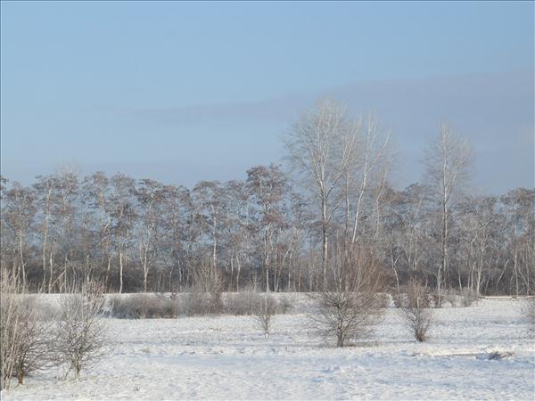EchtzerWinter2010Januar 025