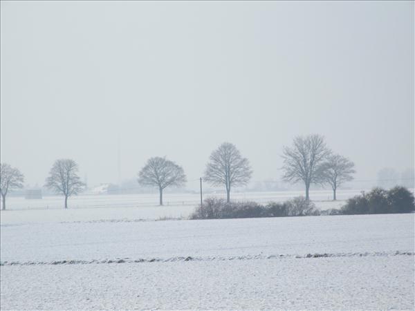 EchtzerWinter2010Januar 027
