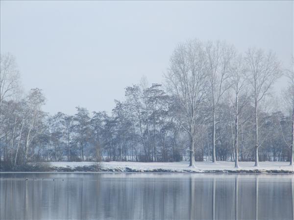 EchtzerWinter2010Januar 032
