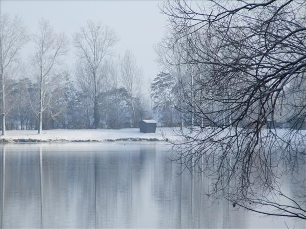 EchtzerWinter2010Januar 034