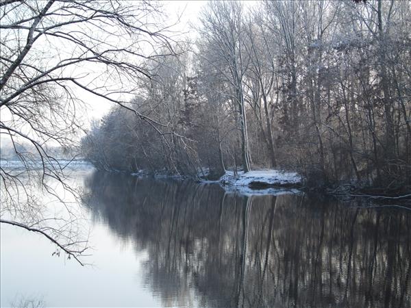EchtzerWinter2010Januar 049