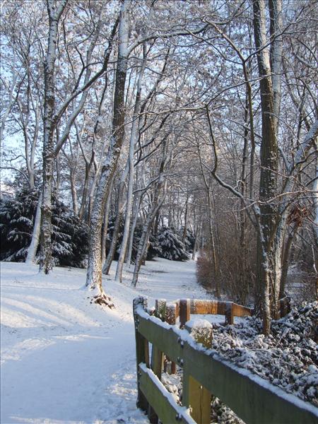 EchtzerWinter2010Januar 050