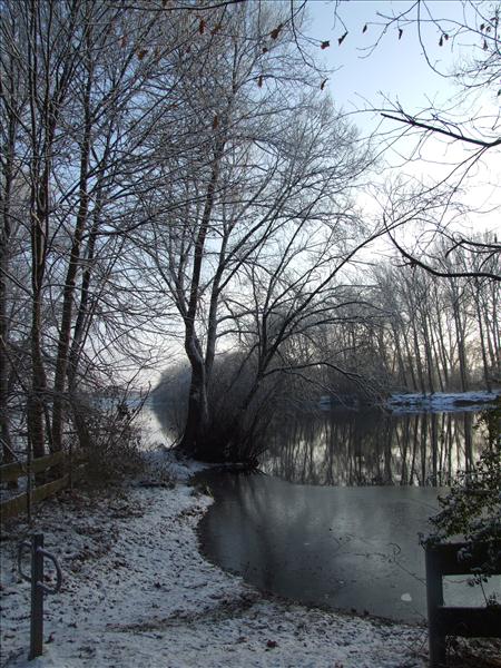 EchtzerWinter2010Januar 053