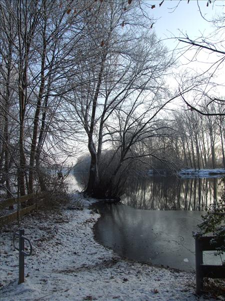 EchtzerWinter2010Januar 054