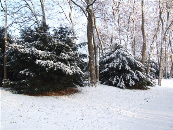 EchtzerWinter2010Januar 055