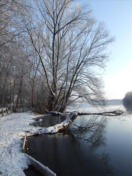 EchtzerWinter2010Januar 058