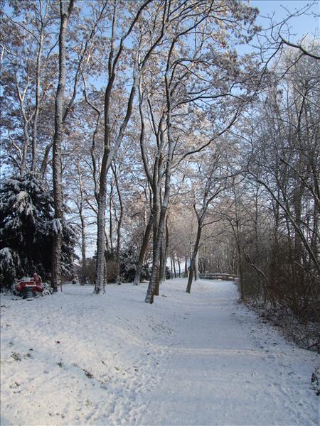 EchtzerWinter2010Januar 059