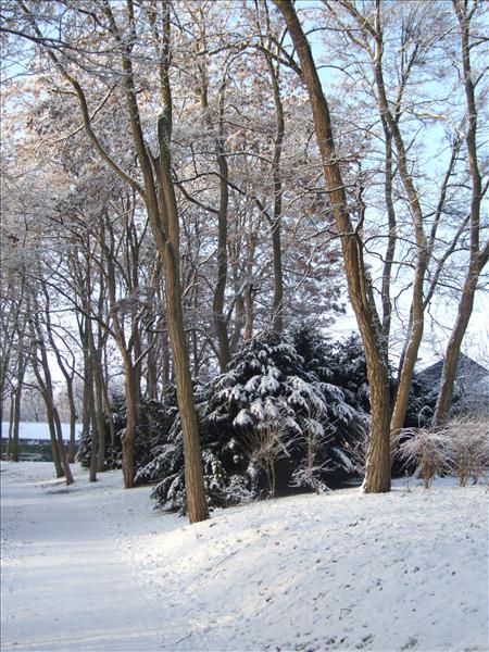 EchtzerWinter2010Januar 060