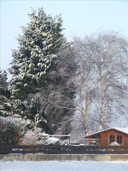 EchtzerWinter2010Januar 063