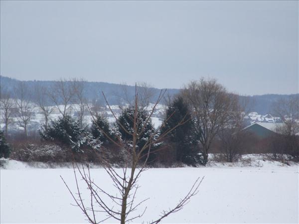 EchtzerWinter2010Januar 064