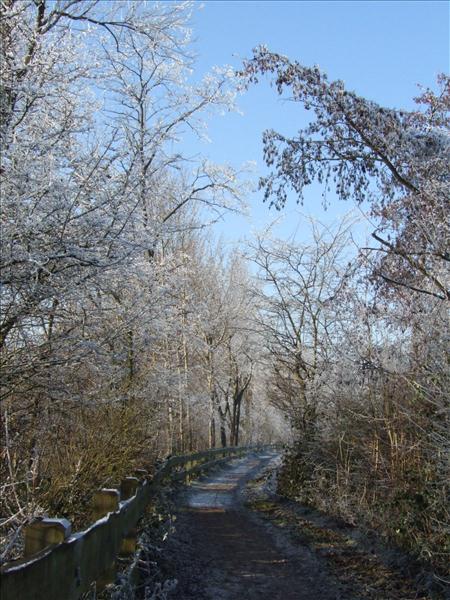 EchtzerWinter2007Dezember 001