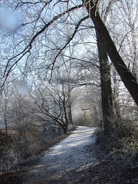 EchtzerWinter2007Dezember 002