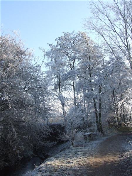 EchtzerWinter2007Dezember 003