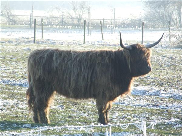 EchtzerWinter2007Dezember 006