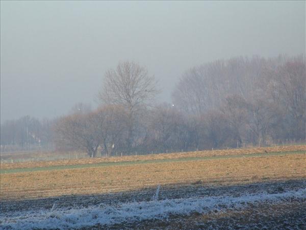 EchtzerWinter2007Dezember 009