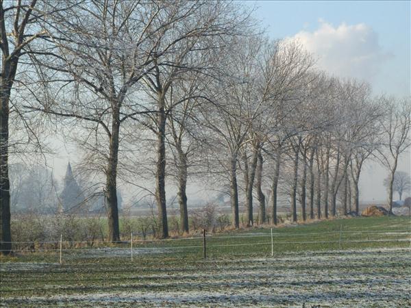 EchtzerWinter2007Dezember 015