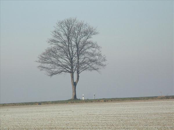 EchtzerWinter2007Dezember 016