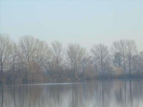 EchtzerWinter2007Dezember 019