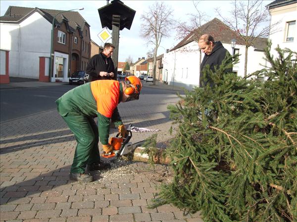 HGV-Weihnachtsbaum2011 009