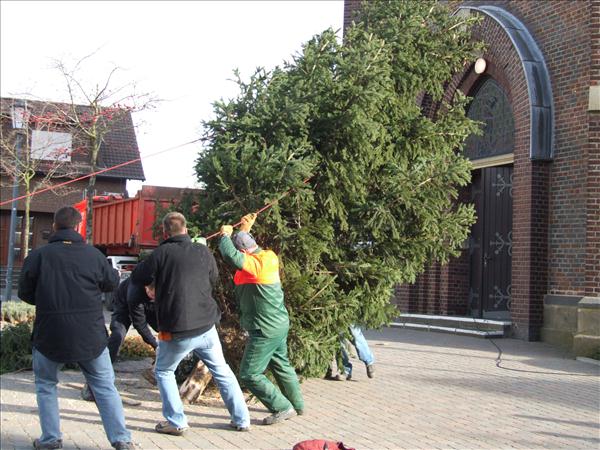 HGV-Weihnachtsbaum2011 015