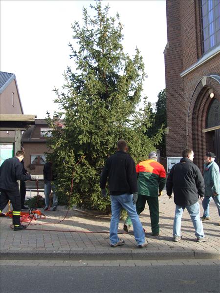 HGV-Weihnachtsbaum2011 016