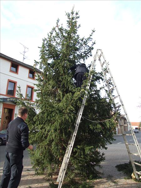 HGV-Weihnachtsbaum2011 018