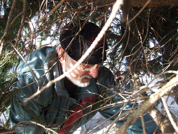 HGV-Weihnachtsbaum2011 020