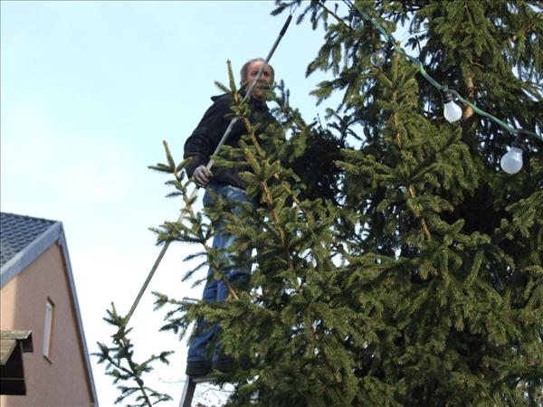 HGV-Weihnachtsbaum2011 024