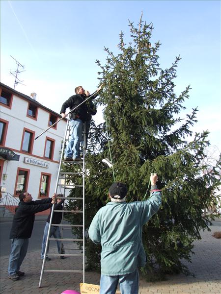 HGV-Weihnachtsbaum2011 026