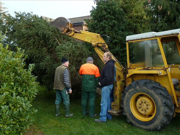 HGV-Weihnachtsbaum2011 037