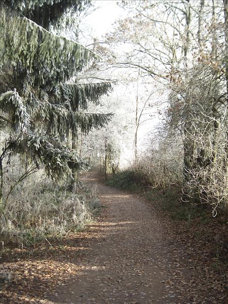 Adventwanderung2004 005