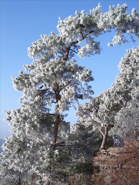 Adventwanderung2004 022