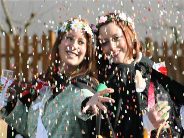 Rosenmontagszug2012 037