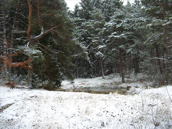 HGVWinterwanderung2005 006