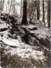 Adventwanderung1999 017