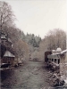 Adventwanderung1999 023
