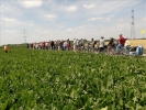 EchtzErleben2011 030