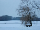 EchtzerWinter2010Januar 004