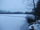 EchtzerWinter2010Januar 005