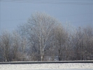 EchtzerWinter2010Januar 007