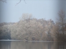 EchtzerWinter2010Januar 010