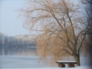 EchtzerWinter2010Januar 011